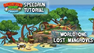 Tropical Freeze Speedrun Tutorial - World 1