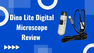 Dino Lite Digital Microscope Review