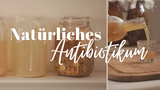 Abwehrkräfte stärken - Natürliches Antibiotikum ganz einfach selber machen - Immunbooster Fire Cider