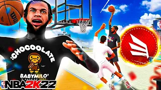 NEW BEST FINISHING BADGES TO TRIGGER EVERY CONTACT DUNK IN NBA 2K22! BEST SLASHER BUILD IN NBA 2K22!