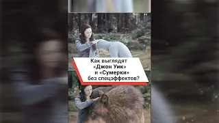 Как выглядят «Джон Уик» и «Сумерки» без спецэффектов? #shorts