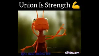 Union IS  STRENGTH💪💪 POWER