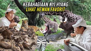 KEBAHAGIAAN NYI HYANG | LIHAT HEWAN KEGEMARAN DAN BUAYA FAVORIT