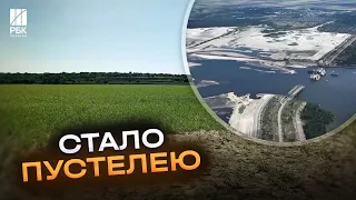 Як футбольне поле: Каховське водосховище після обміління позеленіло