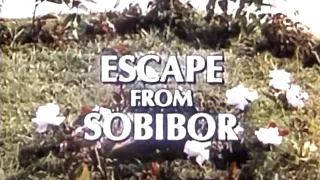 Escape from Sobibor (1987) | Movie