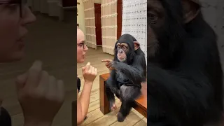 monke love