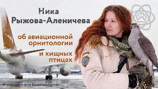 Ника Рыжова-Аленичева об авиационной орнитологии