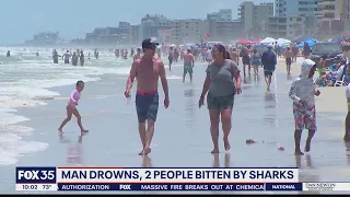 2 bitten by sharks in New Smyrna Beach