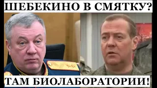 Белгородский фронт трещит по швам. Шебекино стонет от обстрелов. Гладков ржет над жителями региона