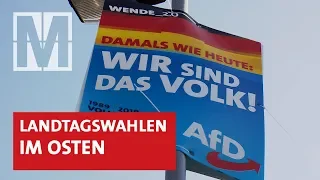 Warum die AfD im Osten so erfolgreich ist – MONITOR