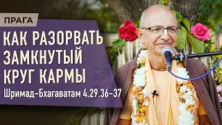 2023.06.15 - ШБ 4.29.36-37. Как разорвать замкнутый круг кармы (Прага)