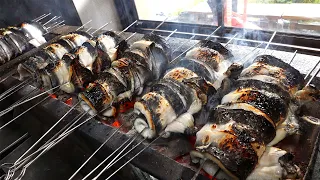 Beautiful and delicious! Japanese grilled eel & 11 toppings of seafood over rice /Korean street food