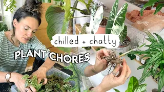 Long Houseplant To-Do's Vlog 🌱 Repot, Propagate + Chat With Me