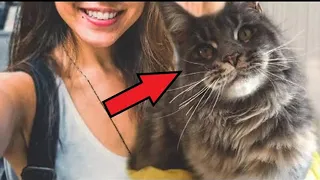 She took a selfie with her Maine Coon. And when my friend saw the picture, she left in a hurry!