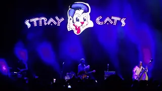 stray cats - stray cat strut - hammersmith apollo - 27/06/19