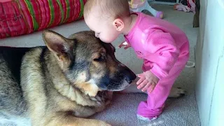 Nothing can prepare you for this animal-human love!😍😊Funny video 2024