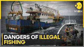 Illegal fishing now a bigger threat than piracy, says Report | World News | WION