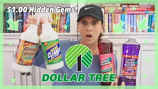 DOLLAR TREE HAUL **BRAND NEW $1.00 JACKPOT FINDS** ALL NEW CLEANING PRODUCTS (HUGE!)