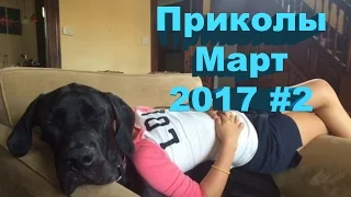 ПРИКОЛЫ 2017 18+ ЛУЧШИЕ ПРИКОЛЫ С ДЕВУШКАМИ ЗА 2017 #2