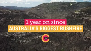 One year on since Australia's biggest bushfire  Climate Council