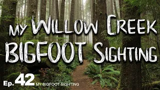 My Bigfoot Sighting Episode 42 - My Willow Creek Bigfoot Sighting