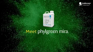 The power of flowering lies in our hands! Meet Phylgreen Mira