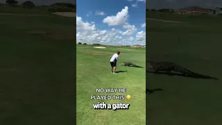 Golfing with alligator