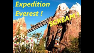 Expedition Everest  - Animal Kingdom  roller coaster   funniest  ride  hilarious rollercoaster