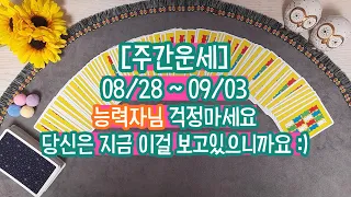 [타로/주간운세]8/28~9/3능력자님 걱정마세요!당신은 지금 이걸 보고 있으니까요:D