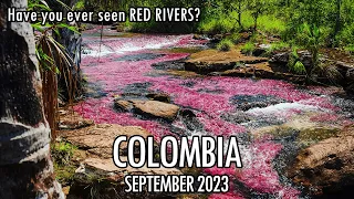 Colombia Road Trip: Landscape, Animals, Beaches, and Red Rivers (Have you ever seen BLOODY RIVER?)