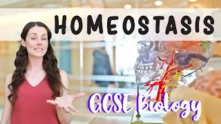 HOMEOSTASIS GCSE Biology 9-1 | Combined (Revision & Qs)
