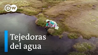 Cría de alpacas y seguridad hídrica en Perú