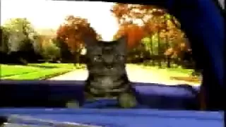 TOONCES  the Cat Who Could Drive a Car