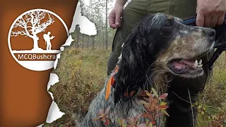 Bushcraft Sweden: Ep04 - Hunting Capercaillie & Black Grouse