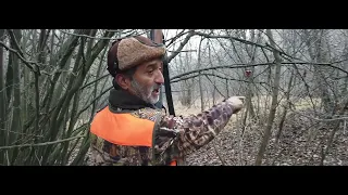 2022 Domuz Avı / BEST WILD BOAR HUNTING 2022, HOG HUNTS, PIG, WILD LIFE , ANIMALS