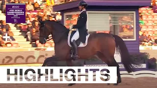 Did you say dressage? Because we've GOT D-R-E-S-S-A-G-E! | Dressage day 1 Highlights