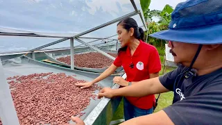 10 Million na Kita SA Dried Beans Cacao Palang + Chocolate pa + Iba pang Harvest sa Farm!