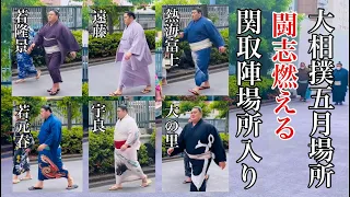 【大相撲 入り待ち】闘志燃える関取陣場所入り！若元春/大の里/若隆景/宇良/熱海富士/遠藤/など人気力士の大相撲五月夏場所12日目