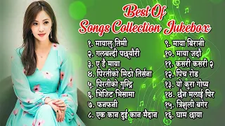 Best Nepali Traveling Songs 2024/2080 | Best Nepali Songs | New Nepali Songs 2024