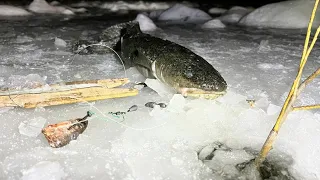 ПЕРВЫЙ ЛЁД 23-24!!! ЛОВЛЯ НАЛИМА НА УДЫ В ЭВЕНКИИ