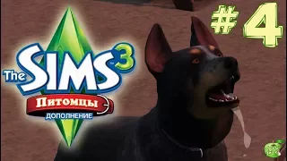 The Sims 3 Питомцы #4 Слюнтяй