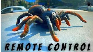 [Unboxing] Remote Control Spider for kids | Rc Tarantula spider Toy With Charger | Toys Guru