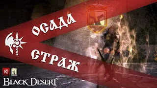 Осада в пустыне 8 кипов / Black Desert 2023 / RTX 4070 ti