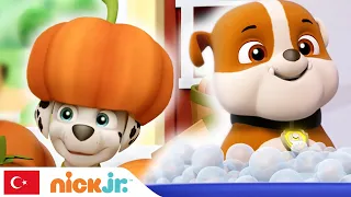 Pati Devriyesi | 🐾 Komik Anlar 🐾 | Nick Jr.