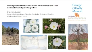 Mornings with O’Keeffe: Native New Mexico Plants and their Stories of Diversity and Adaptation
