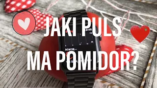 #35 Apple Watch mierzy puls.. pomidorowi!❗️😂