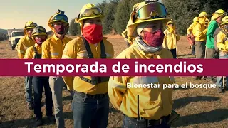 Temporada de incendios forestales 2022, Ciudad de México / Combatiente