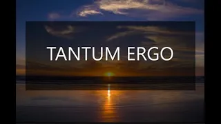 TANTUM ERGO (Latin & English) - By Michael Leong