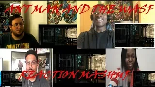 Ant-Man and The Wasp (Unleashed TV Spot) REACTION MASHUP /REACCIÓN GRUPAL