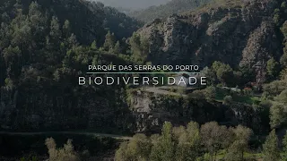 Parque das Serras do Porto - Biodiversidade [1/4]